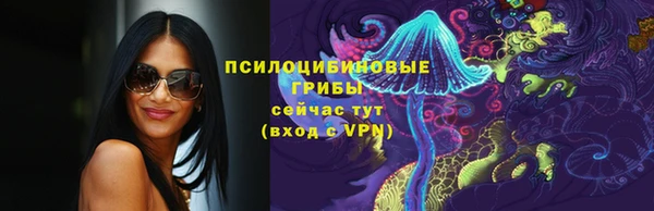 PSILOCYBIN Киреевск