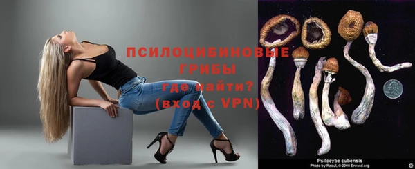 PSILOCYBIN Киреевск