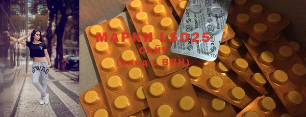 PSILOCYBIN Киреевск