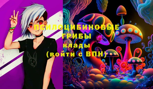PSILOCYBIN Киреевск