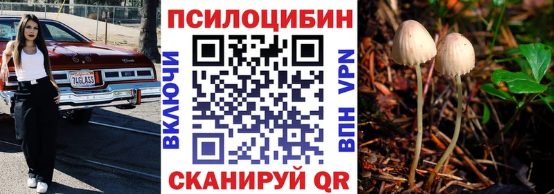 Купить  Удомля  Галлюциногенные грибы Cubensis 